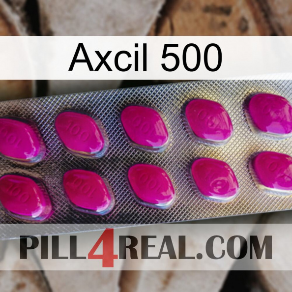 Axcil 500 09.jpg